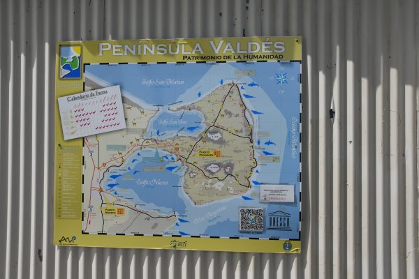 Una parrillada con argentinos