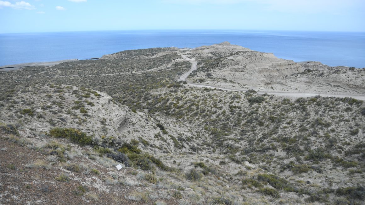 Una piedra en el camino
