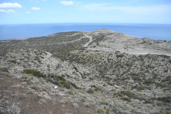 Una piedra en el camino