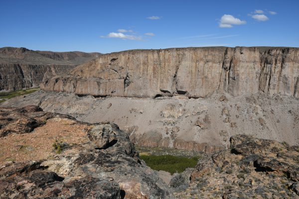 Cueva de las Manos y Parque Patagonia