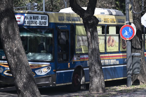 Reanudamos el viaje