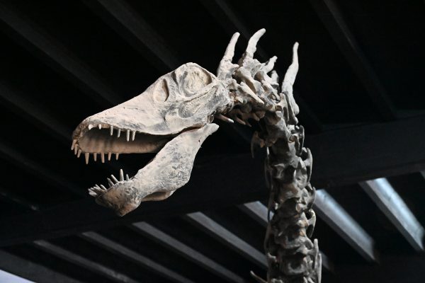 La huella de los dinosaurios