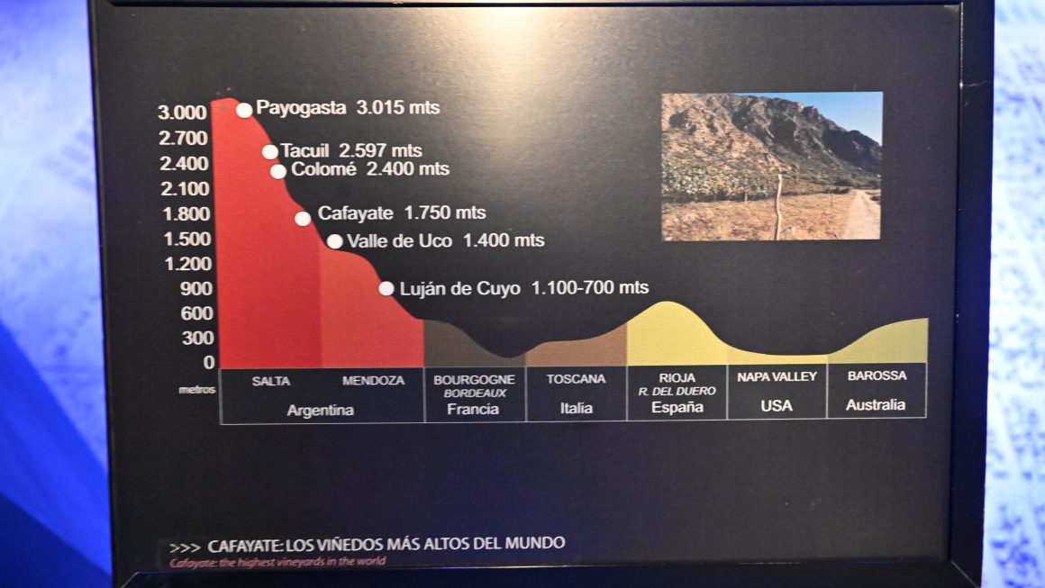 Cafayate y los vinos de altura